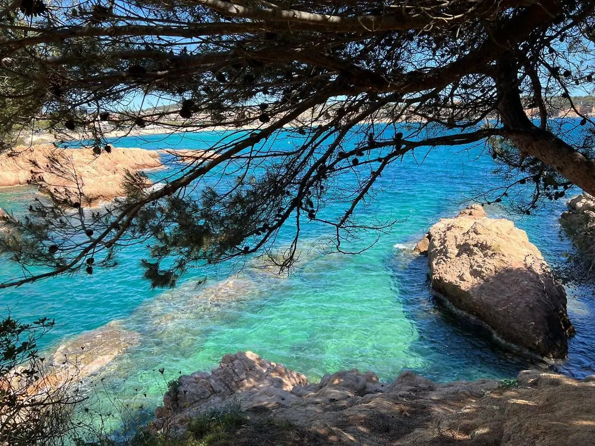 Bed & Breakfast Family B&B Homefromhomees Sant Feliu de Guixols