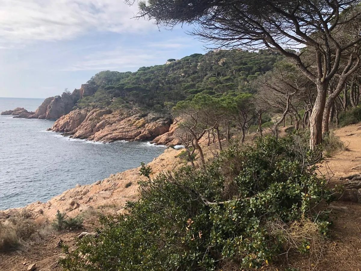 Family B&B Homefromhomees Sant Feliu de Guíxols 0*,  Spanyolország